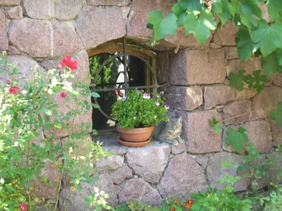 a cat sitting on a stone wall with a potted plant at Gasthof Tschötscherhof in Castelrotto