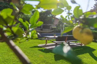 a garden with two benches and a table at Rebenheim in Termeno