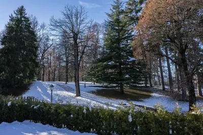a park covered in snow with trees and bushes at Hotel San Valier in Cavalese