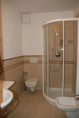 a bathroom with a shower and a toilet and a sink at Hotel San Valier in Cavalese