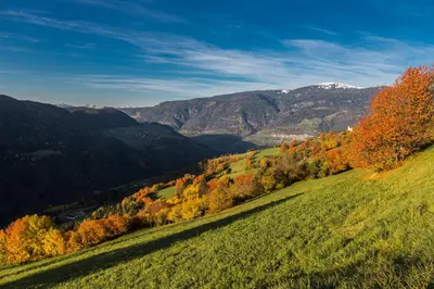 three chairs sitting in the grass with mountains in the background at Zehentnerhof in Laion