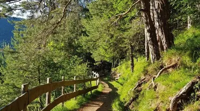 a path in a forest with a wooden fence at CASA GILDA Val di Fiemme - Dolomiti in Cavalese