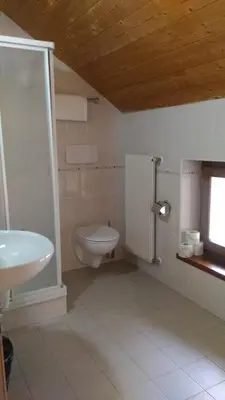 a bathroom with a toilet and a sink and a window at Hotel Casa Alpina - Alpin Haus in Selva di Val Gardena