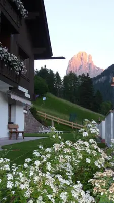 a garden with purple flowers and mountains in the background at Residence Prapoz in Ortisei