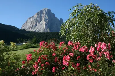 a view of a mountain with pink flowers in the foreground at Hotel Rodella in Selva di Val Gardena