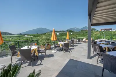 a restaurant with tables and chairs and a view of a vineyard at Hotel Jonathan in Naz-Sciaves