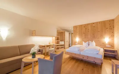 a hotel room with a bed and a couch at Hotel Jonathan in Naz-Sciaves