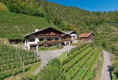 a building in a vineyard next to a road at Bognerhof in Rifiano