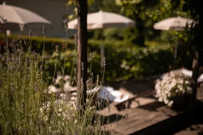 a group of tables with umbrellas in a garden at Vitalpina Hotel Schulerhof in Plaus