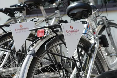 a group of bikes parked next to each other at Wirtshaushotel Alpenrose in San Lorenzo di Sebato