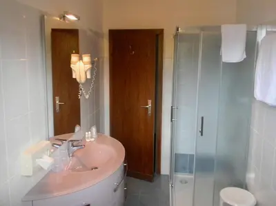a bathroom with a sink and a shower at Hotel Bologna in Brunico