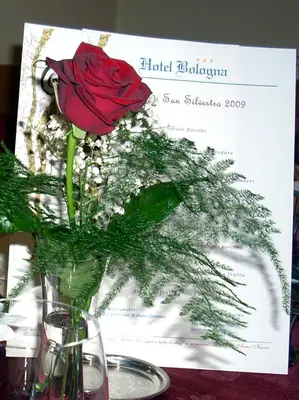 a red rose in a vase on a table at Hotel Bologna in Brunico