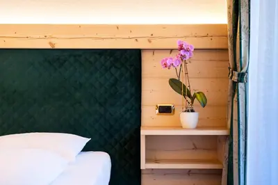 a bedroom with a bed and a plant on a shelf at Garni Hotel and Apartments Wildbach in Selva di Val Gardena