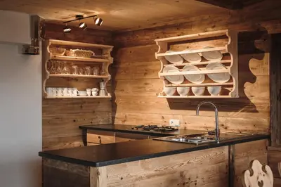 a kitchen with wooden walls and a counter with a sink at Hirschhof Pfrein - Hideaway in Chiusa