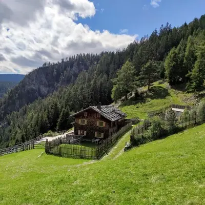 Hirschhof Pfrein - Hideaway