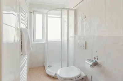 a white bathroom with a toilet and a shower at Pension Wiesenrain in Maranza