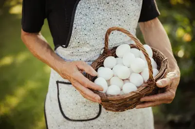 a man holding a basket of eggs at Hotel Mareo Dolomites in San Vigilio Di Marebbe
