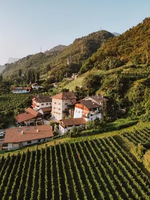 a village on a hill next to a vineyard at Boutique-Hotel Ballguthof am Golfplatz in Lana