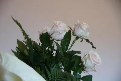 a bouquet of pink roses in a vase at Ciasa Complojer in La Valle