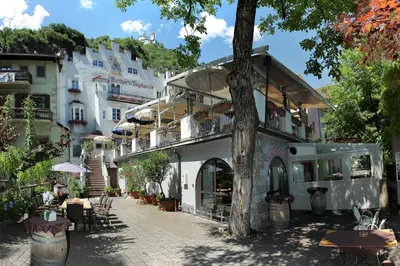 a building with a tree next to a street at Hotel Walther v.d. Vogelweide Superior in Chiusa