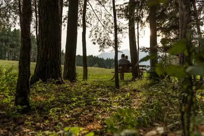 a person sitting on a bench in a forest at Baumgartnerhof in Naz-Sciaves
