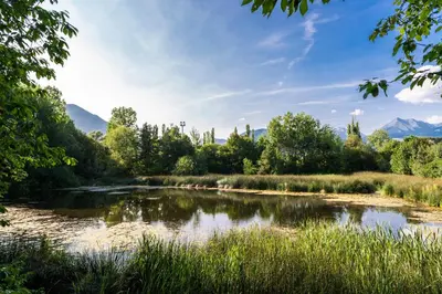 a river with trees and mountains in the background at Baumgartnerhof in Naz-Sciaves