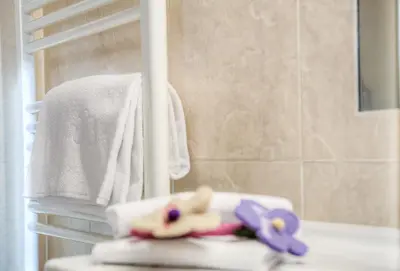 a bathroom with two dolls sitting on a towel at Eden Apartments in Siusi