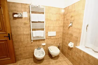 a bathroom with a toilet and a bidet at Hotel Des Alpes in Cortina dʼAmpezzo