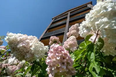 a bunch of white and pink flowers in front of a building at Lamondis in Castelrotto