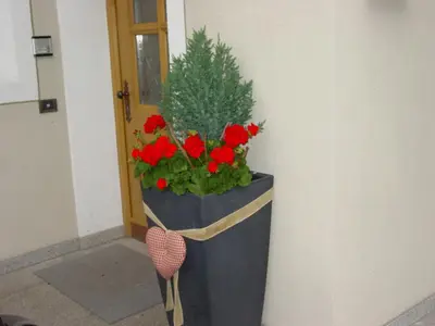 a planter with red flowers and a potted plant at Ciasa Rudiferia Appartamenti in Alta Badia in Badia
