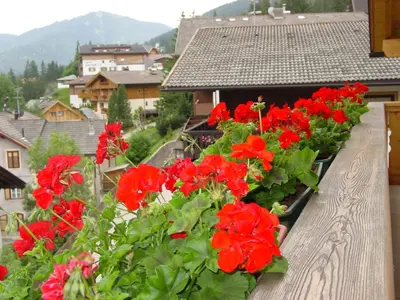 a bunch of red flowers on a balcony at Ciasa Rudiferia Appartamenti in Alta Badia in Badia