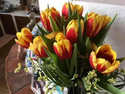 a bouquet of tulips in a vase on a table at Ciasa Rudiferia Appartamenti in Alta Badia in Badia