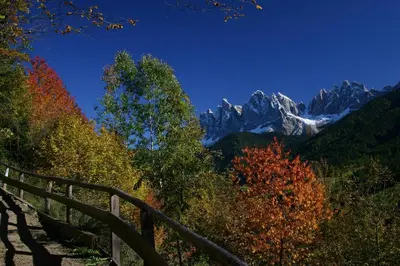 a view of a mountain with trees and a fence at Residence Töglhof in Funes