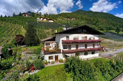 a house on a hill with flowers on it at Sonnenhof in Rifiano