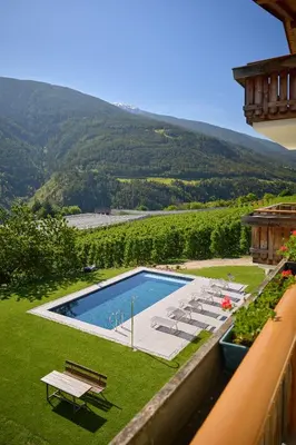a swimming pool in a yard with a view of a mountain at Residence Schiestlhof in Naz-Sciaves