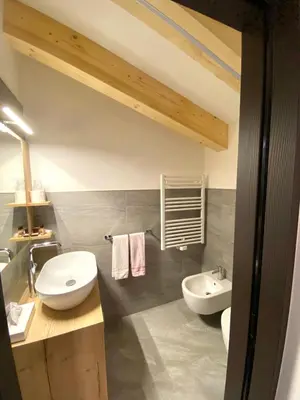 a bathroom with a white toilet and a sink at Hotel Chalet Alaska in Pozza di Fassa