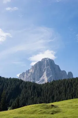 a mountain in the middle of a field with trees at Villa Insam in Selva di Val Gardena