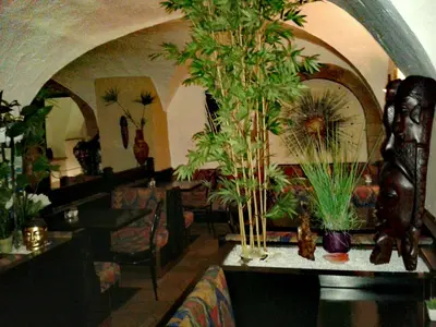 a living room with a table with plants on it at Garni Brunnenhof in Caldaro