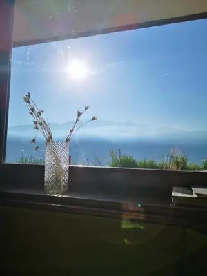 a vase on a window sill with a view of the ocean at Biogasthaus Plonerhof 