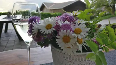 a vase of flowers next to a glass of wine at Biogasthaus Plonerhof 