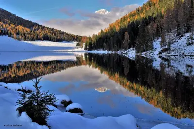a view of a lake with snow on the ground at Lausen Vil in Canale San Bovo