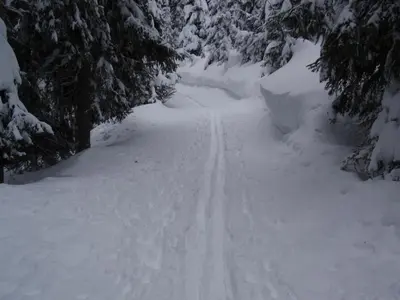 a snow covered road with footprints in the snow at Pensione Vittoria in Colfosco