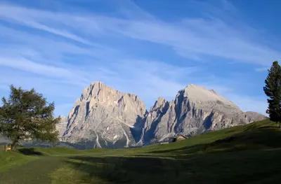 a mountain in the distance with a tree on a hill at Apartment Villa Stefania in Selva di Val Gardena