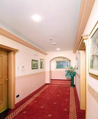 a hallway with a red carpet and a vase of flowers at Hotel Europa in Moena