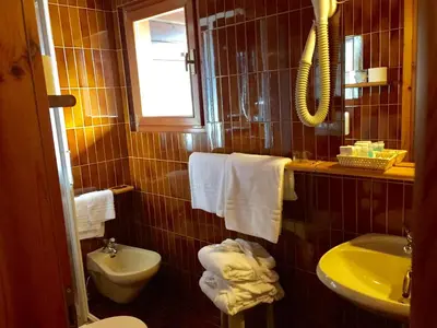 a bedroom with a bed and a desk and a window at Park Hotel Villa Trunka Lunka in Cavalese