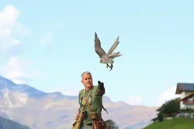 a man with an owl on his arm with a bird at Hotel Panorama in Schenna