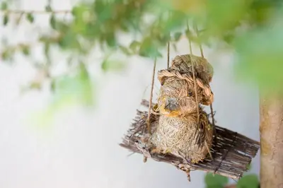 a small bird perched on top of a bird feeder at Hotel Garni Nachtigall in Schenna