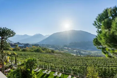 a view of a vineyard with mountains in the background at Hotel Garni Nachtigall in Schenna