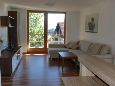 a living room with a couch and a television at Apartments Tauberhof in Naz-Sciaves