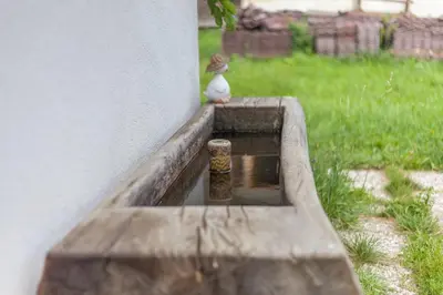 a bird sitting on top of a water fountain at Tschafingerhof in Vipiteno